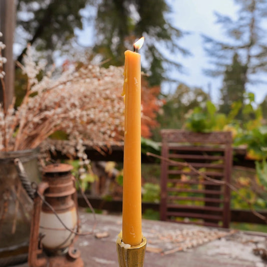 Classic Tapers · Set of 5